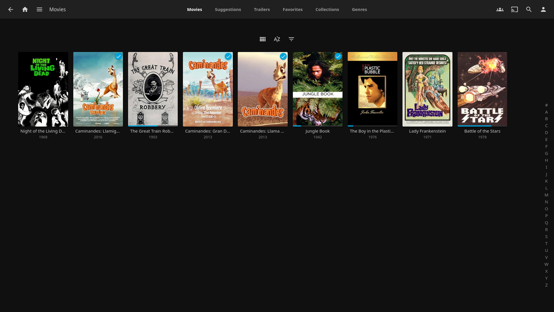 Jellyfin Movie Library Screen